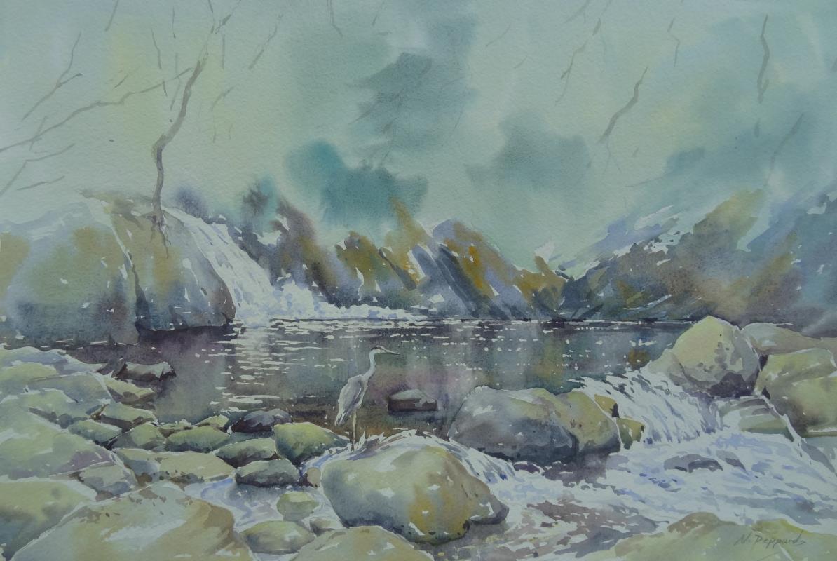 Fishing at the Devil's Glen, Co.Wicklow.